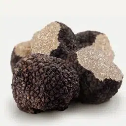 Fresh Black Summer Truffles