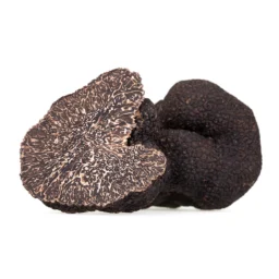 Garlic Truffle (Tuber Macrosporum)