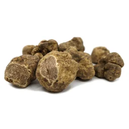 Piemonte White Truffle (Tuber Magnatum)