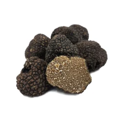 Burgundy Truffle (Tuber Uncinatum)