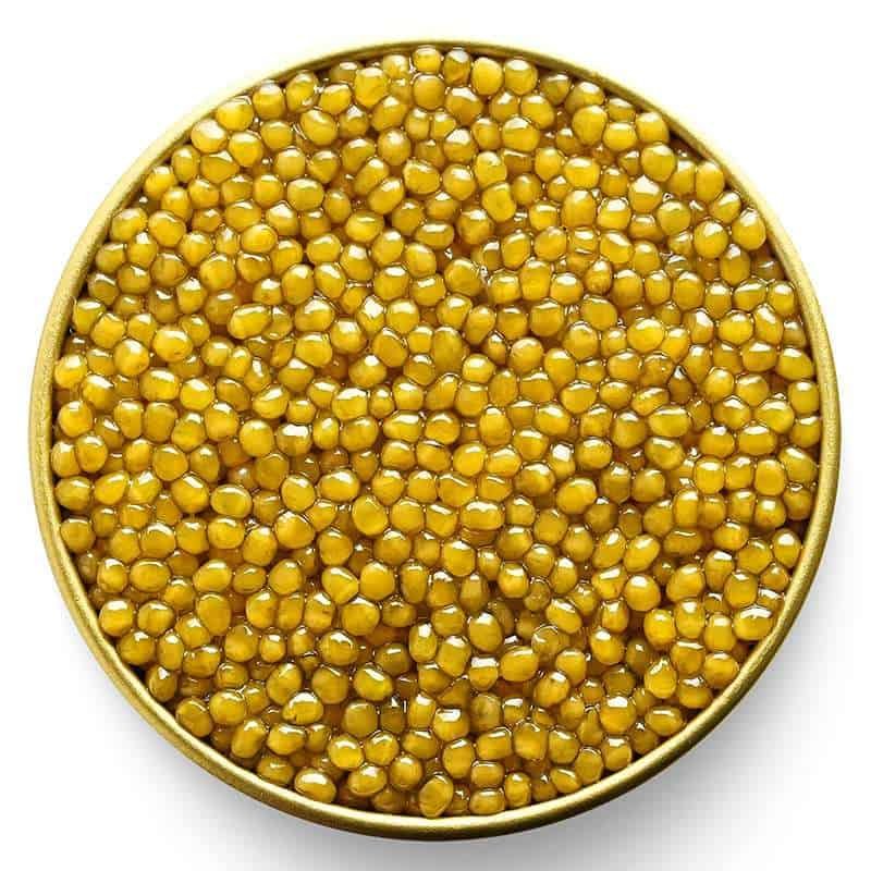 White Pearl Osetra - Image 4